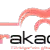 gitar akademi