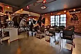 Görsel 6